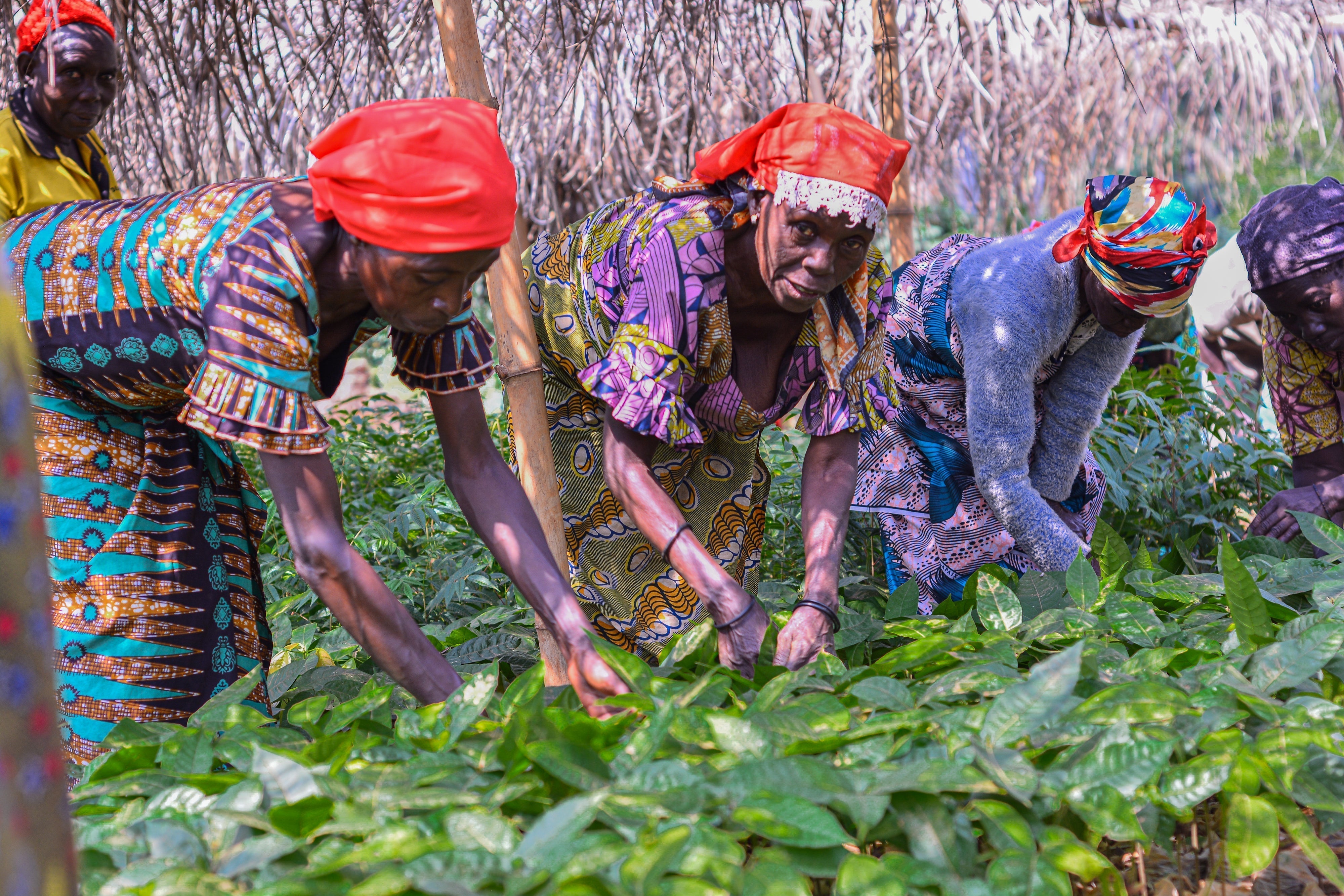 Femme de Virunga